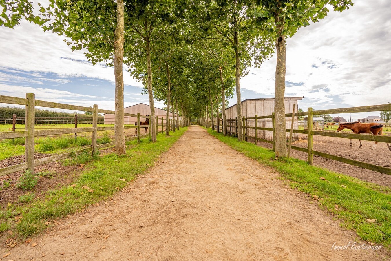 Charmante hoeve met paardenfokkerij op ca. 4,5 Ha te Noorderwijk 