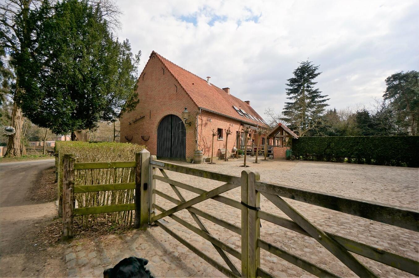 Prachtig landhuis met 8 stallen en buitenpiste op ca. 5,5ha te Haacht 