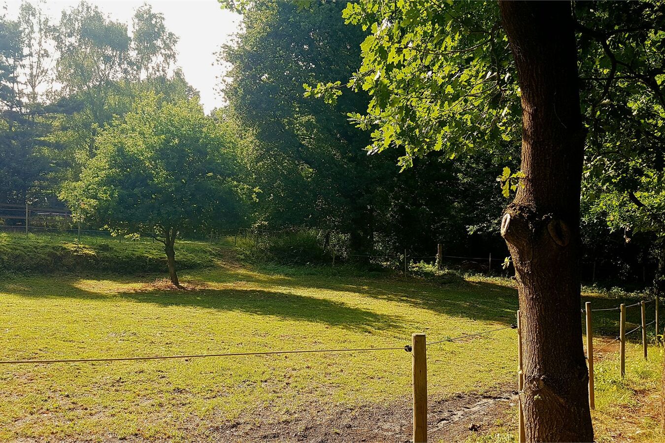 Vernieuwde woning met paardenweide in idyllische omgeving 