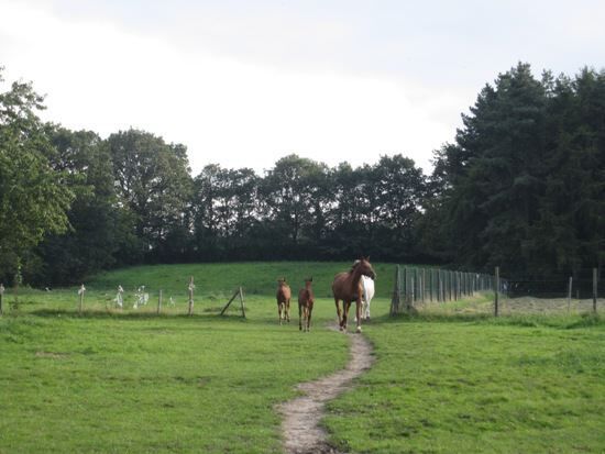 Farm sold in Neeroeteren