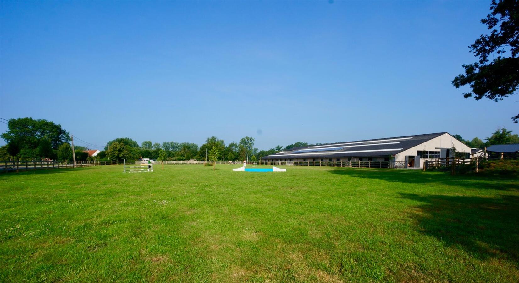 Hippisch complex met inpandige woning op ca. 6,5 ha te Laakdal 