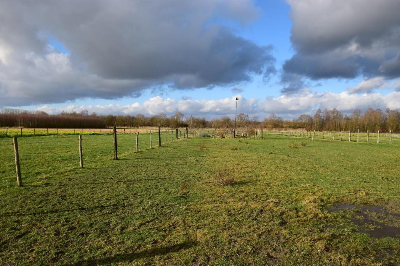 Leuke eengezinswoning met stallen en buitenpiste op ca. 1,43ha te Zemst-Laar 