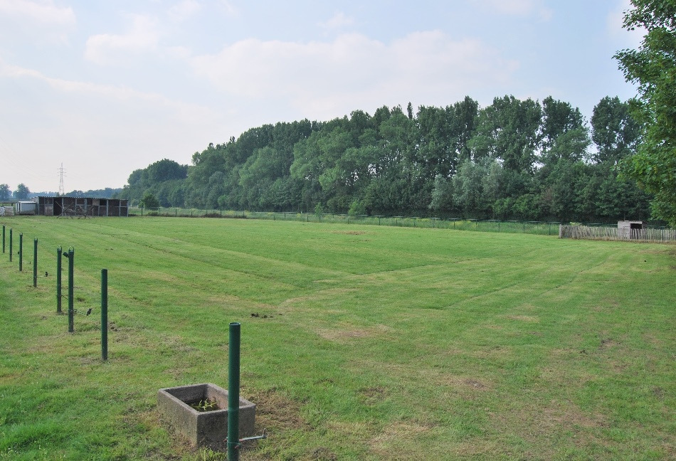 Villa op ca. 1,3ha aan de Leie te Petegem-aan-de-Leie 