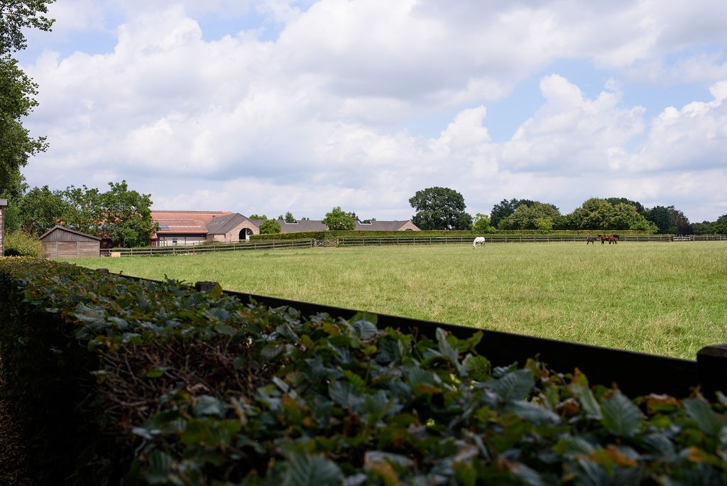 Exclusive domain with indoor arena on approximately 20ha in Meeuwen-Gruitrode 