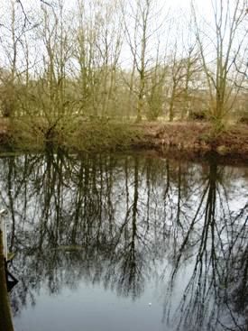 Idyllische eigendom op ca. 2ha in het Stroperbos 