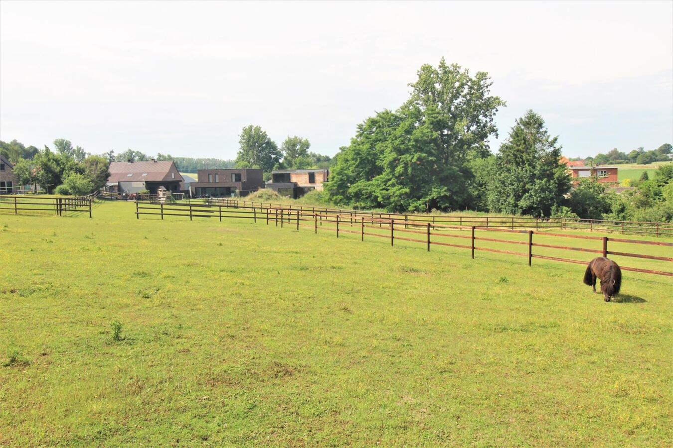 Recent house with stable building, shelter and meadows at approximately 74 a in Lubbeek (Flemish Brabant). 