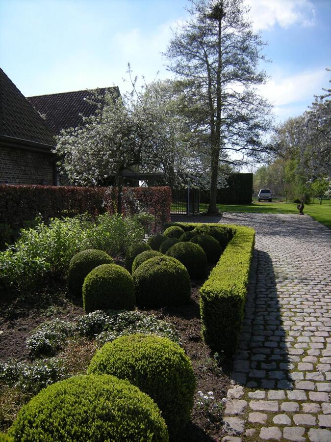 Charmant landhuis met bijgebouwen op ca. 76a 