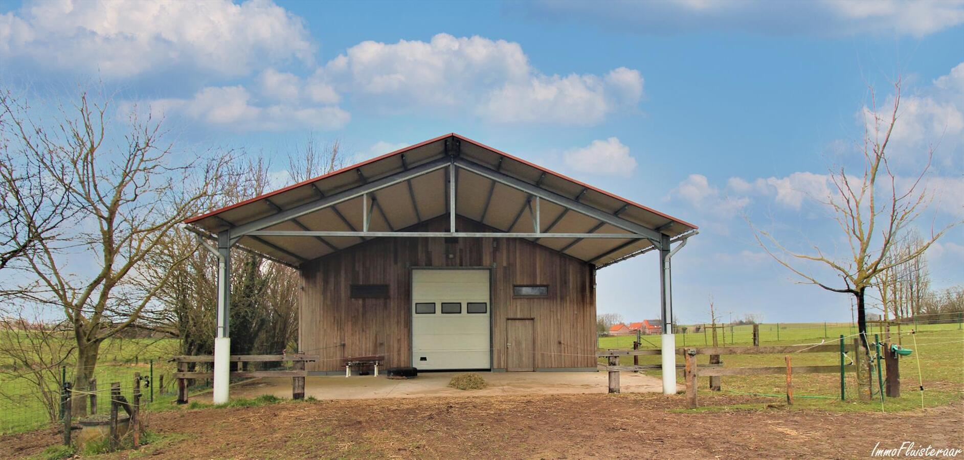 Woning met multifunctionele ruimte, stalgebouw, bouwgrond en weiland op ca. 1,67ha te Elzele (Henegouwen) 