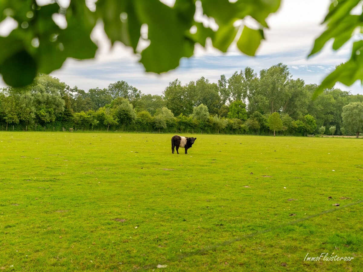 Magnifique maison avec vue sur les prairies et les for&#234;ts sur environ 3,5 hectares &#224; Heist-op-den-Berg 