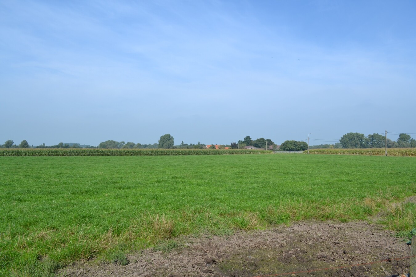 Te renoveren hoeve op ca. 3Ha te Knesselare 