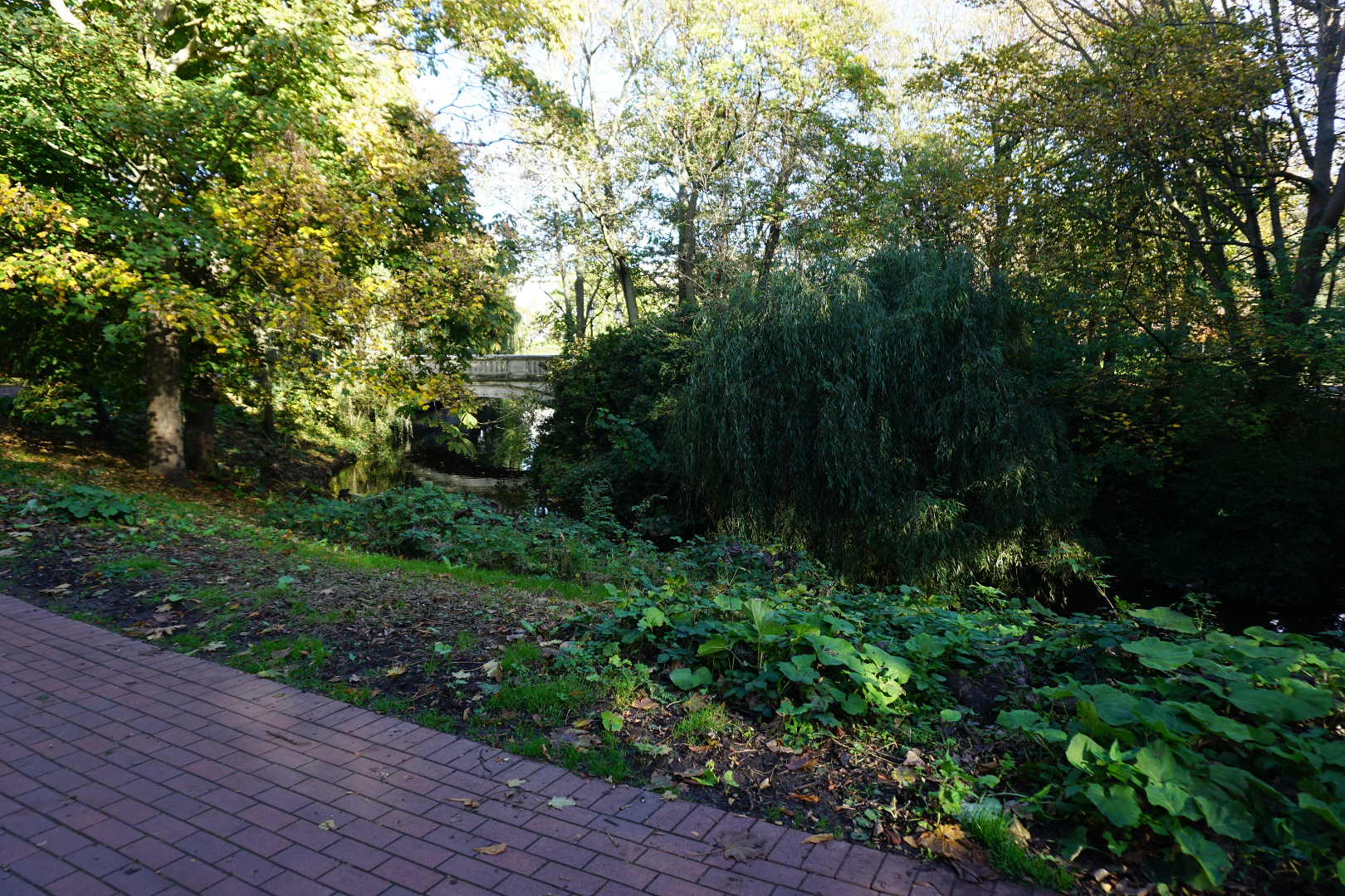 APP. NON-MEUBLE SITUE AVEC BELLE VUE SUR LE PARC 