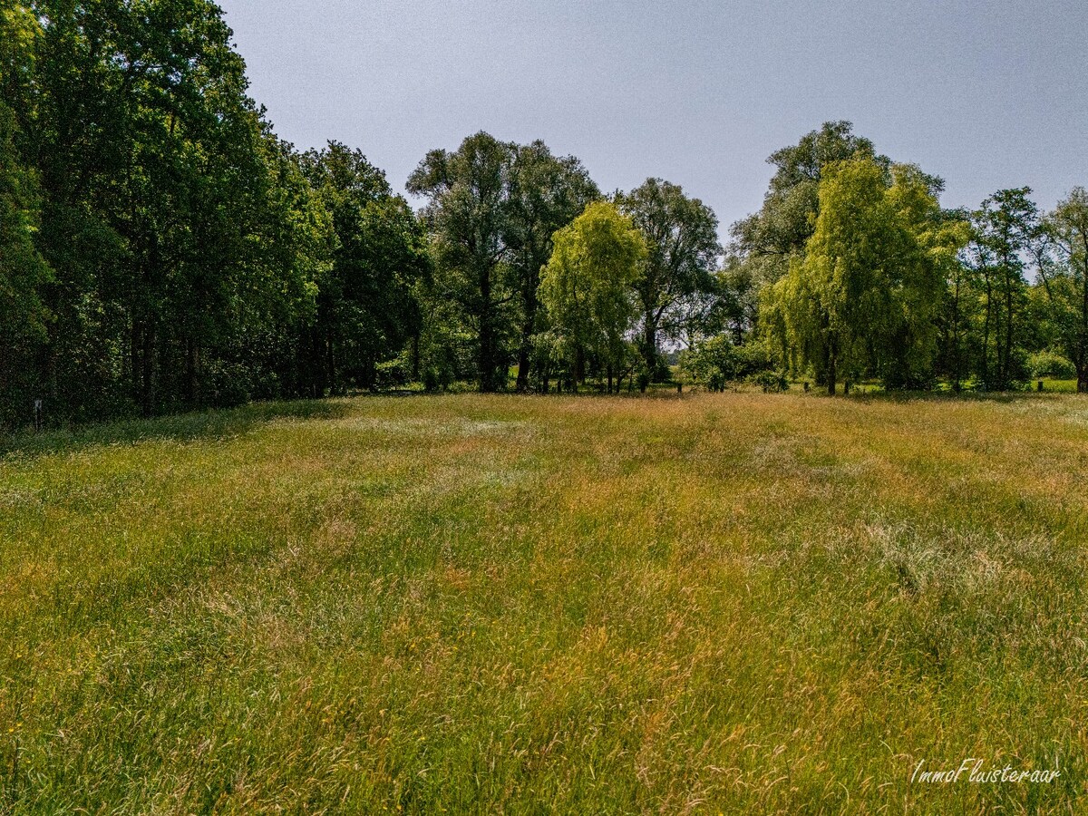 Villa met zwembad op ca. 2.155 m2 te Nijlen (Mogelijkheid tot aankoop aanpalende weide van ca. 5.251 m2, ideaal voor het houden van dieren) 