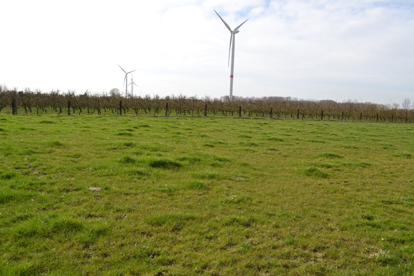 Hoeve met landgebouwen op ca. 3Ha te St-Gillis-Waas 