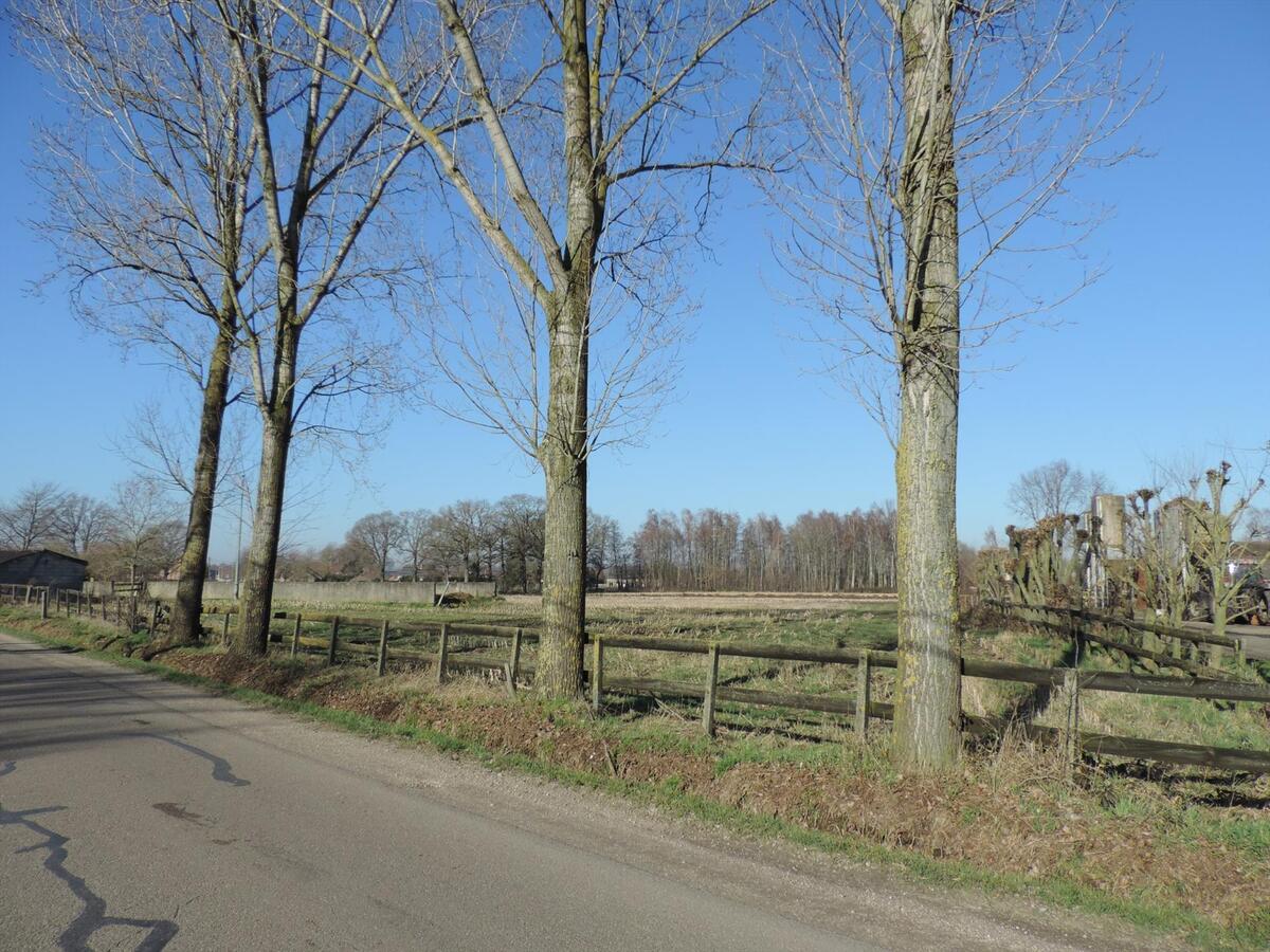 Boerderij met twee wooneenheden en stallen op ca. 1,25ha te Bocholt 