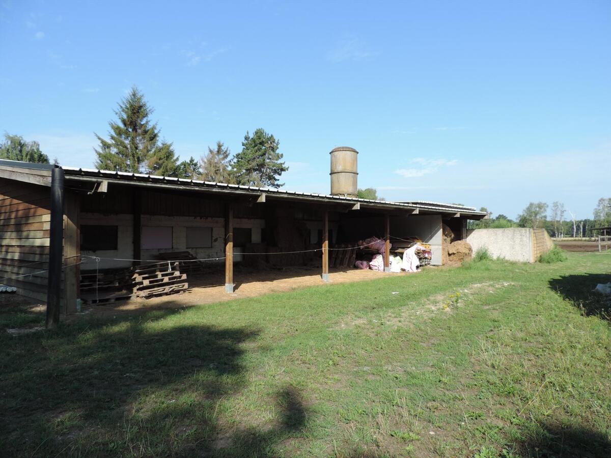 Gezellige boerderij met paardenstallen op ca.3,3ha te Bocholt 