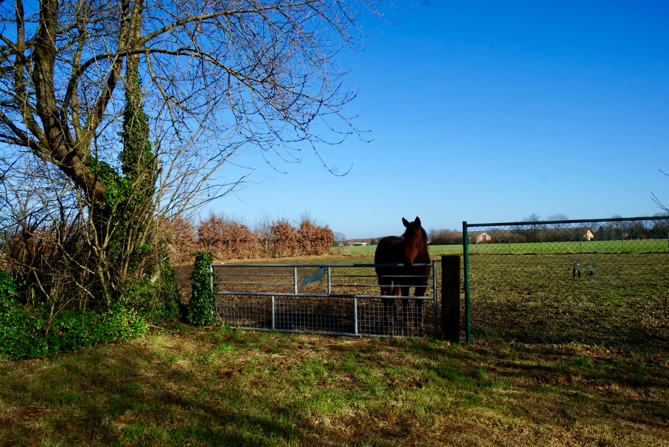 Property sold in Gruitrode