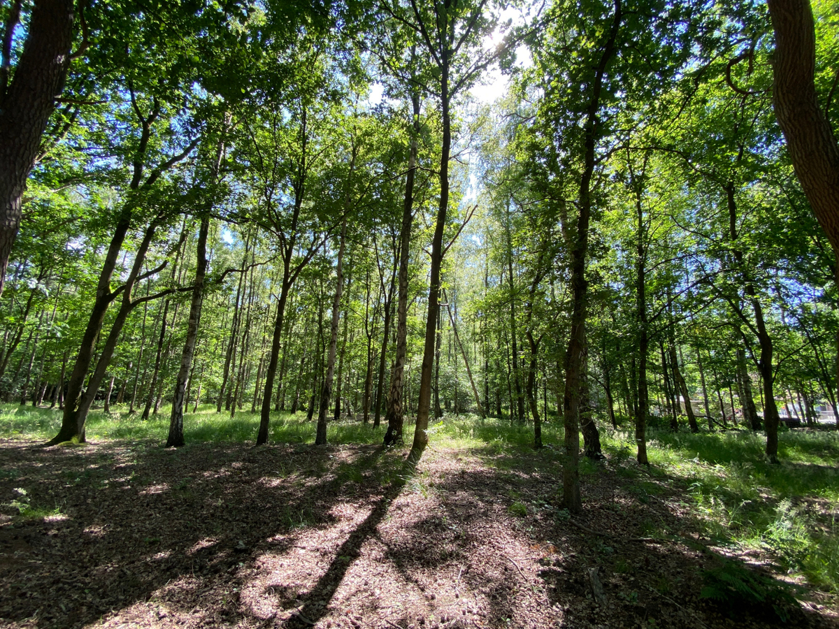 Uitzonderlijk rustig gelegen perceel van 2.500 m&#178; met priv&#233; oprijlaan van ca. 60 m grenzend aan natuurgebied te Brecht. 