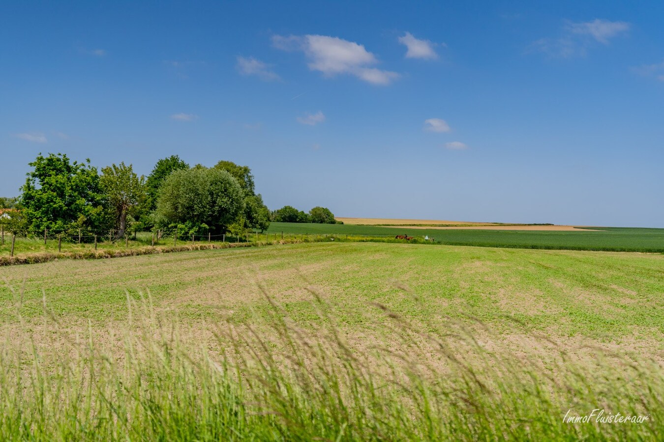 Prachtige woning met paardenaccommodatie op ca. 48a te Landen 