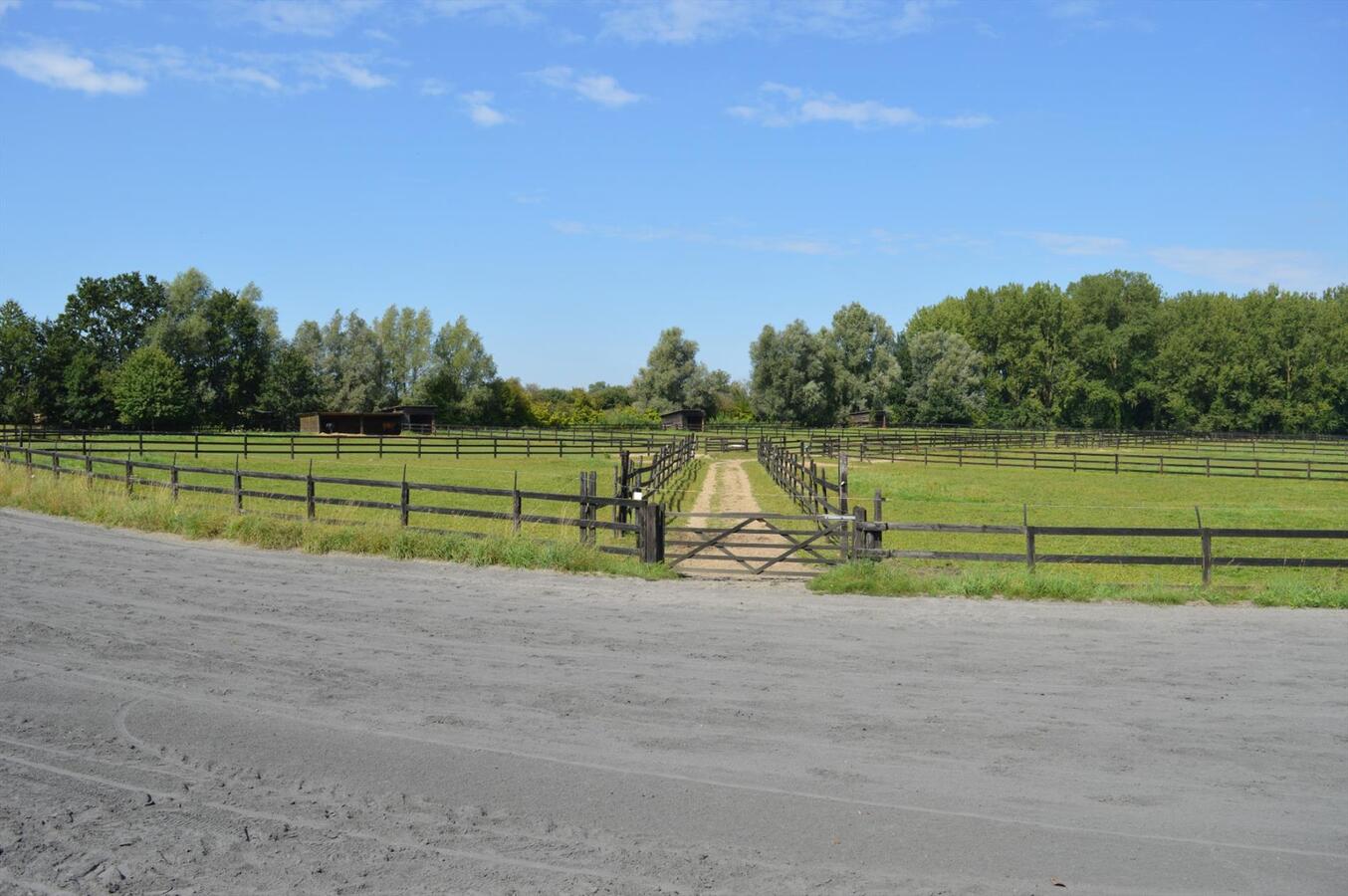 Paardenhouderij met 40 stallen en drafbaan op 4,64ha te Brakel 