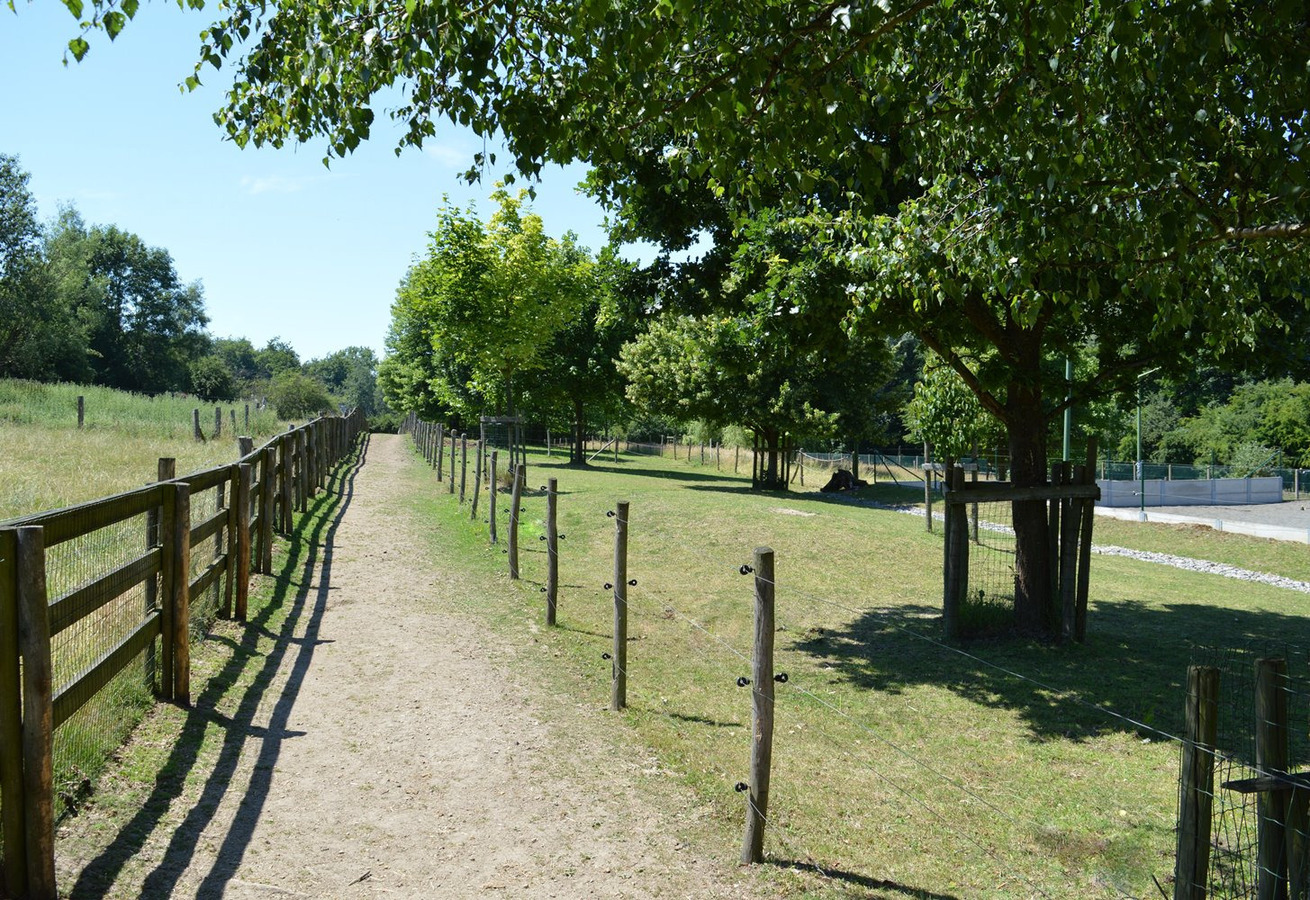 Mooie gezinswoning met stalgebouw en piste op ca. 5400m&#178; te Dworp 