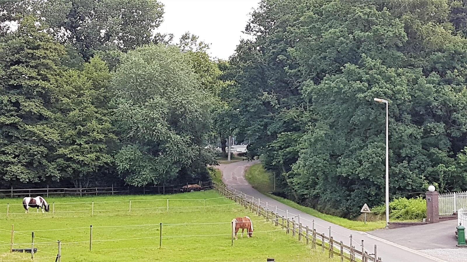 Stijlvol gerenoveerde woning met stallen op +/-40a te Neeroeteren 