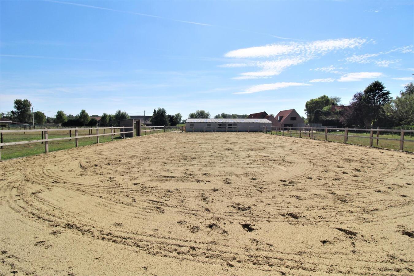 Recente woning met stalgebouw, grote schuur, buitenpiste en weilanden op ca. 1,23ha te Waasmunster (Oost-Vlaanderen) 