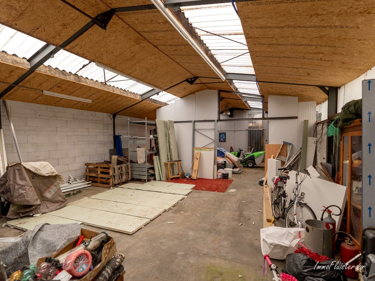 Ruime woning met stalgebouw en weide op ca. 1,1 ha te Wuustwezel 