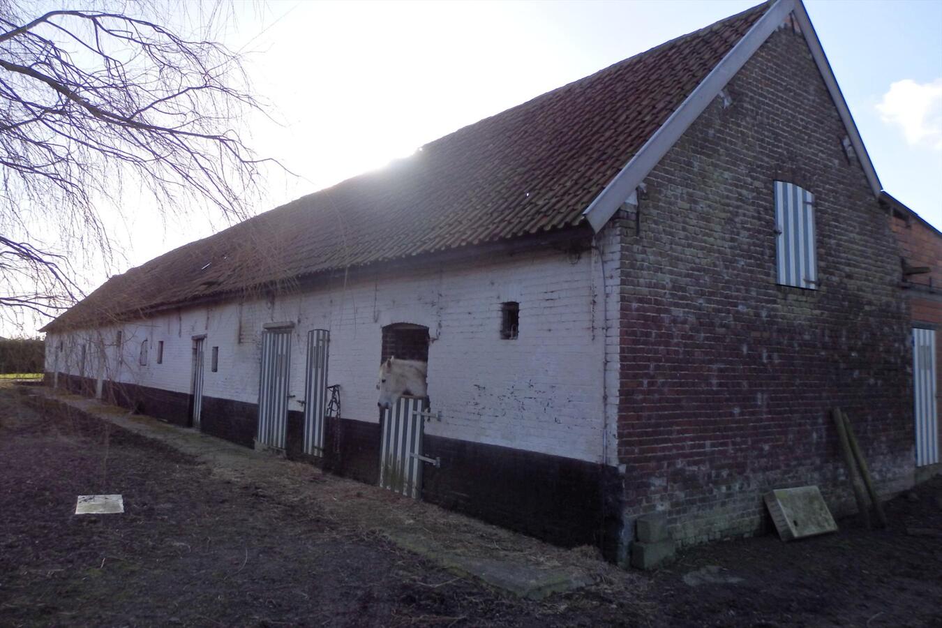 Te renoveren hoeve met veel potentieel 