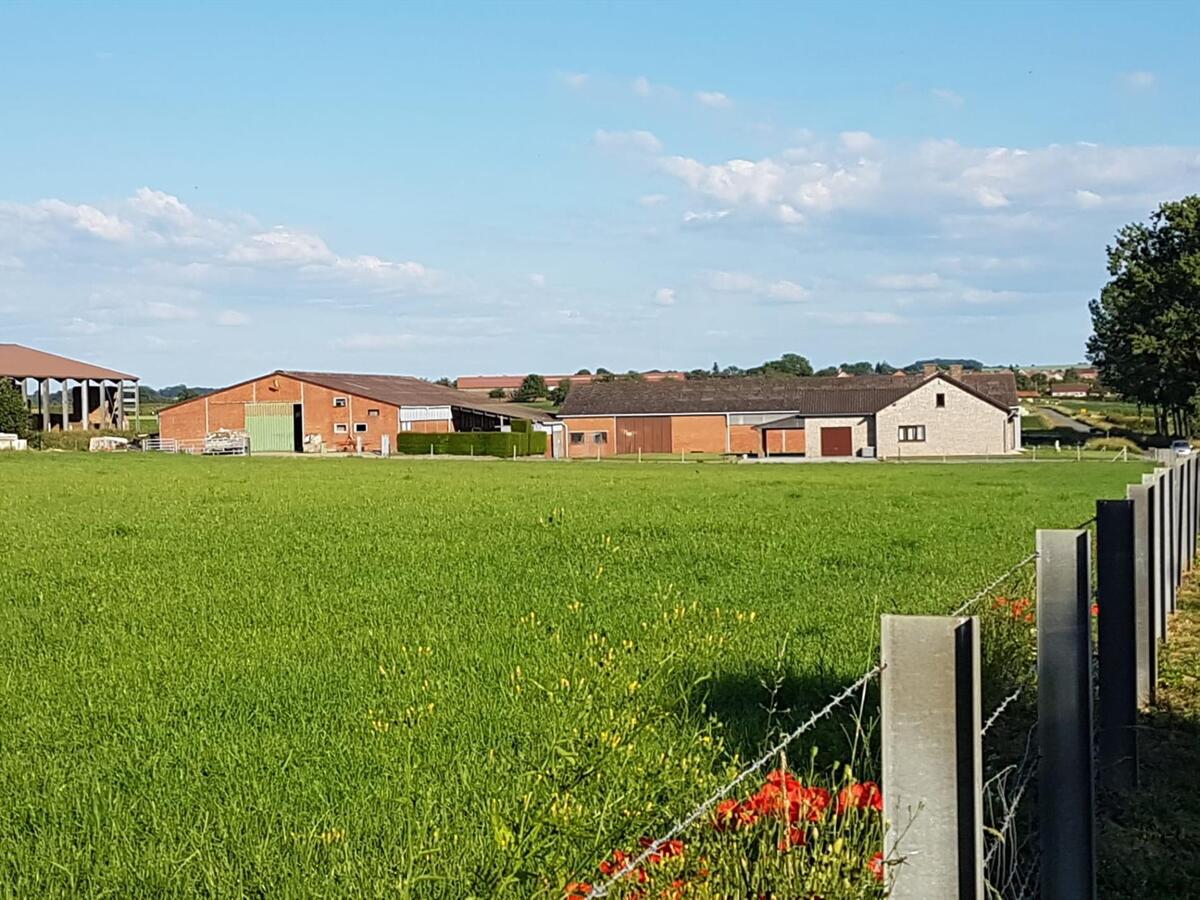 Farm sold in Gutschoven