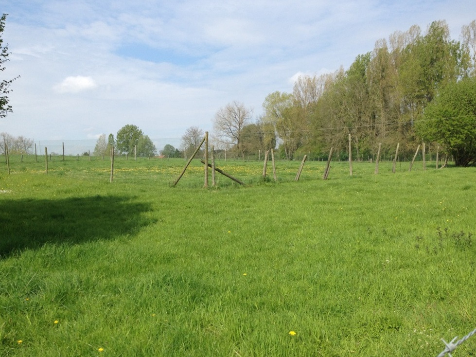 Renovatieproject op ca. 1,77ha te Geraardsbergen 