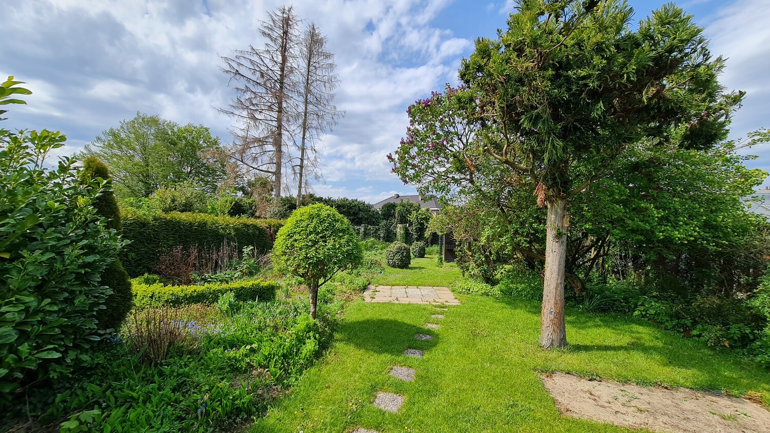 Betaalbare, rustig gelegen gezinswoning met charmante tuin 