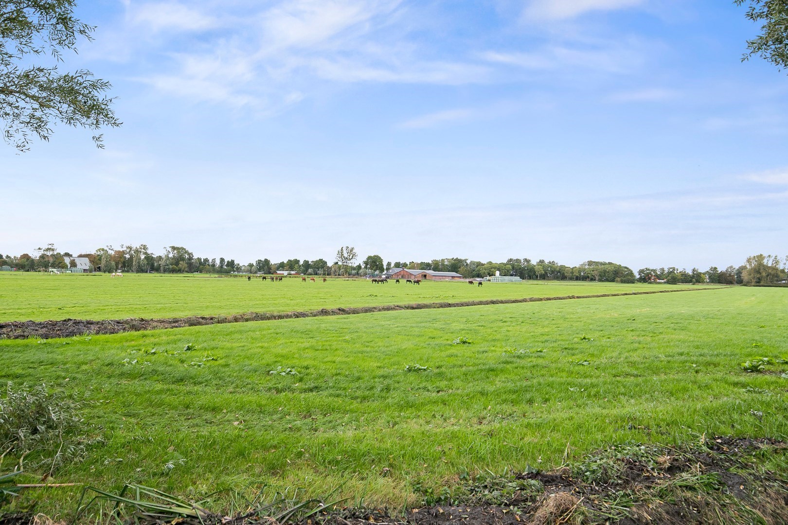 Landelijk wonen met vele mogelijkheden zo kan deze prachtige woonboerderij het beste worden omschreven! 