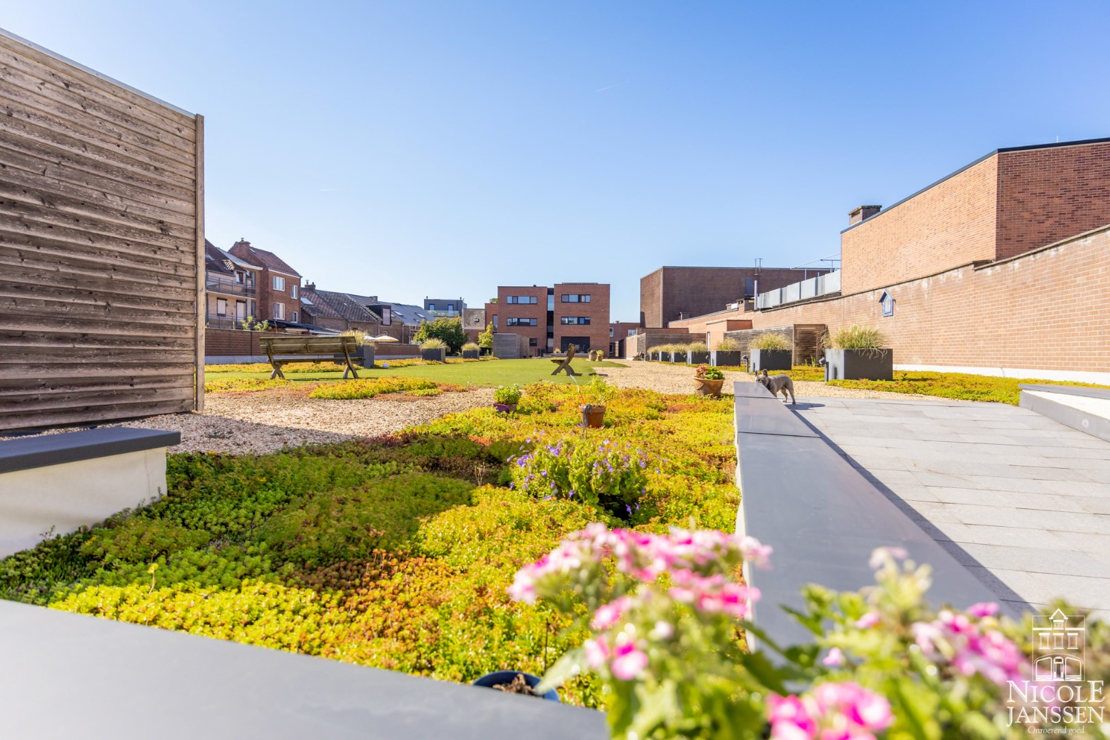 Uitzicht over de gemeenschappelijke tuin aan de achterzijde 