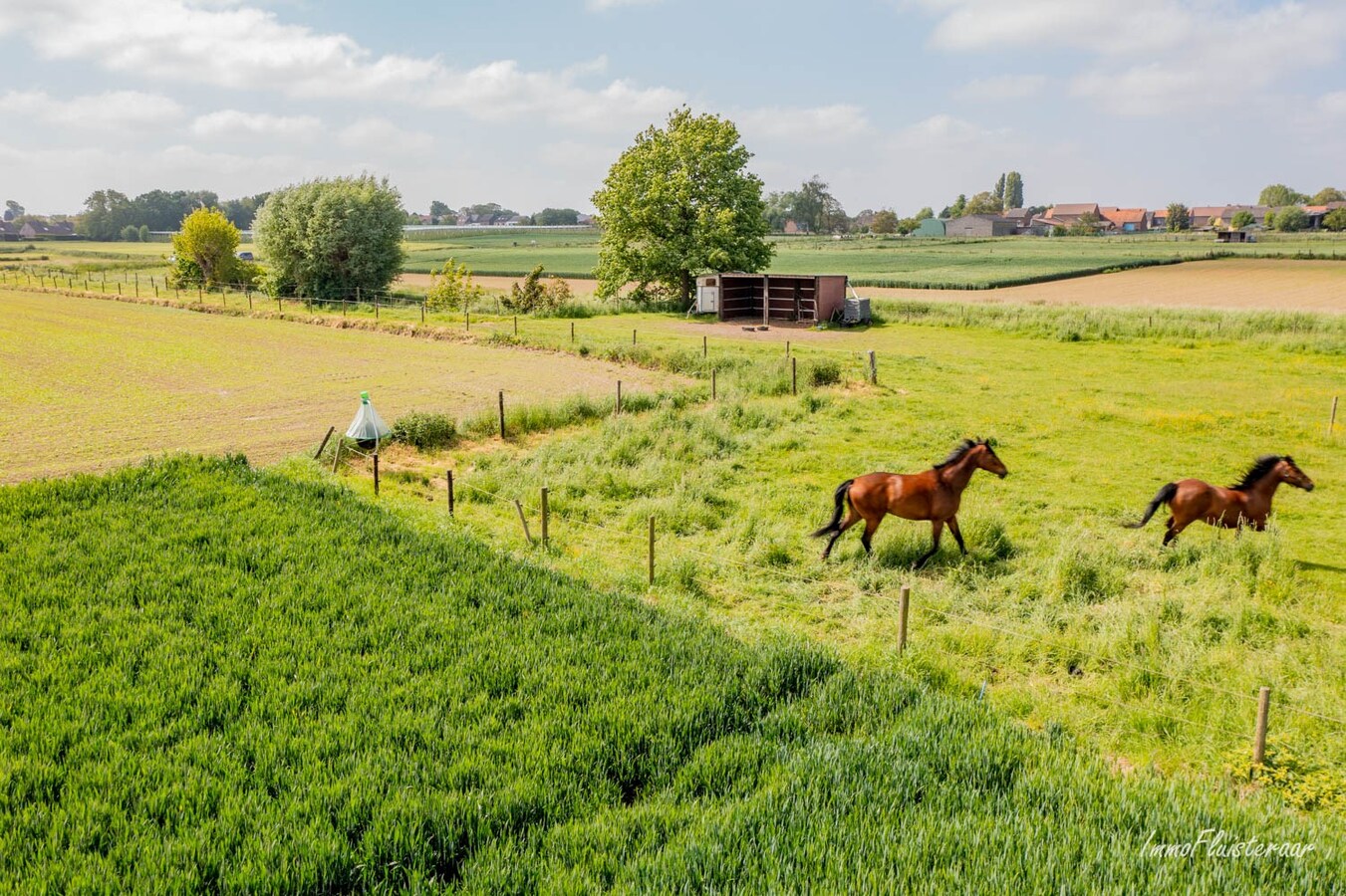 Prachtige woning met paardenaccommodatie op ca. 48a te Landen 