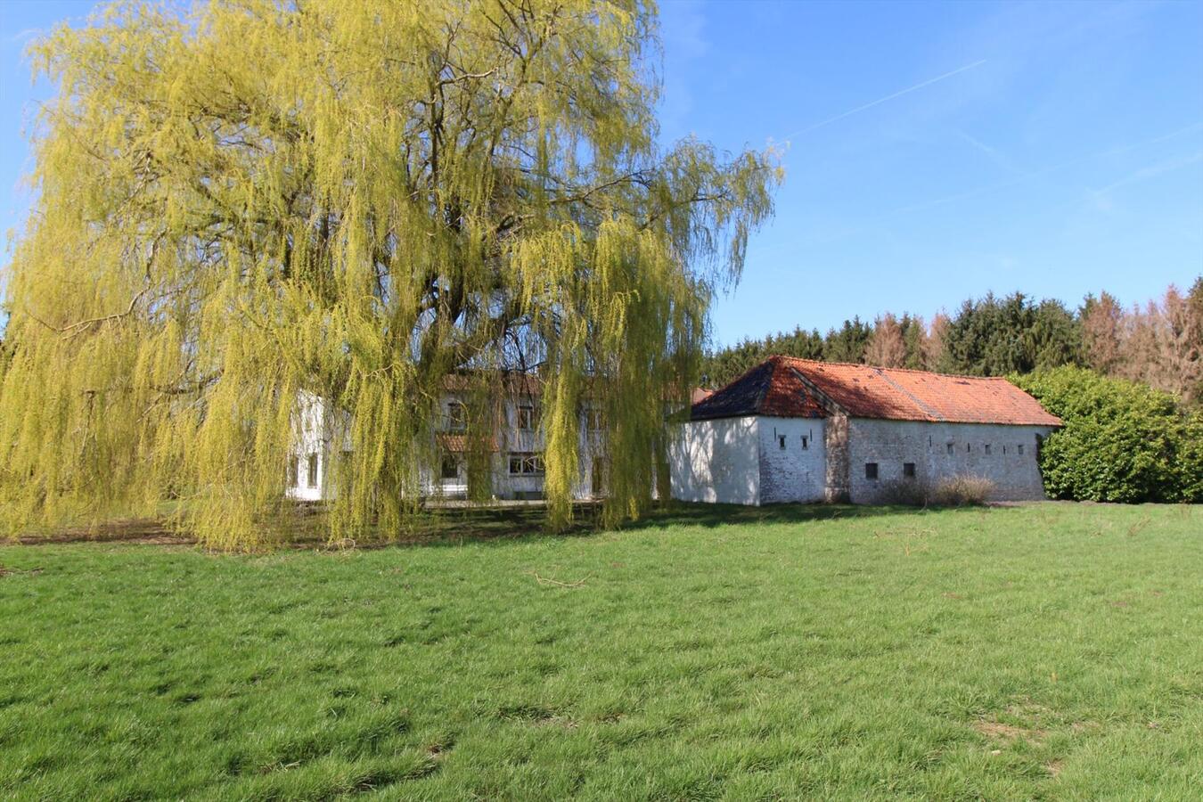 EN OPTION - Maison &#224; r&#233;nover dans un cadre rural avec annexes et prairies sur environ 6.7ha &#224; Nivelles (Brabant Wallon) 