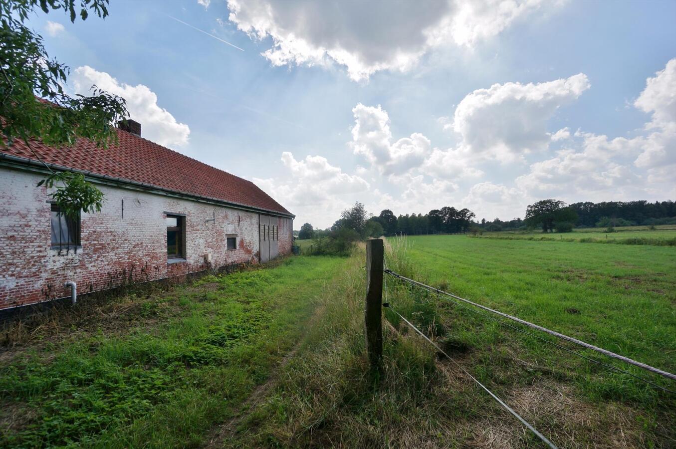 Te renoveren boerderij op unieke locatie op ca. 10ha te Diest 