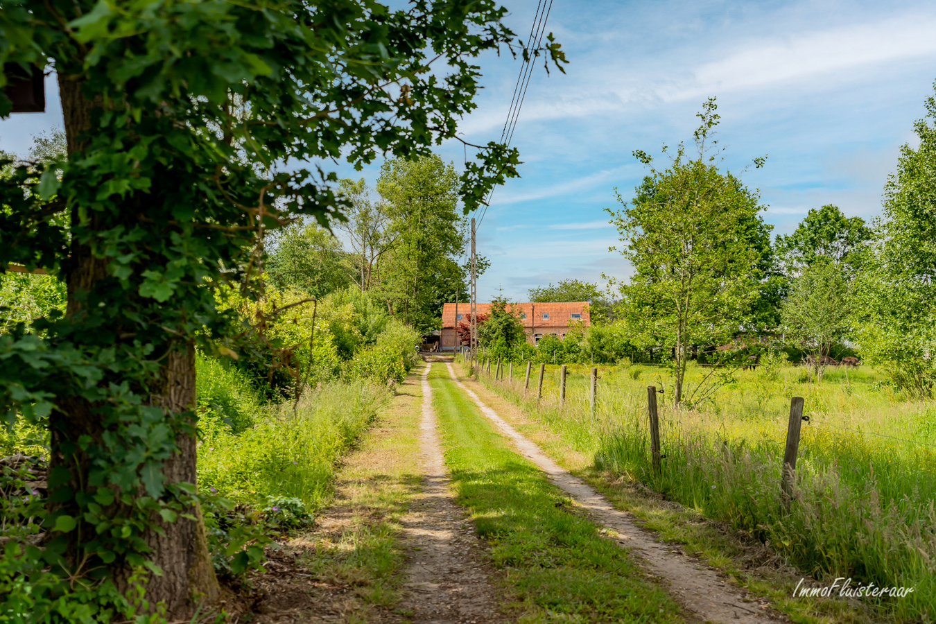 Langgevelhoeve met bijgebouwen en weiland op ca. 1,15ha te Langdorp (Vlaams-Brabant) 