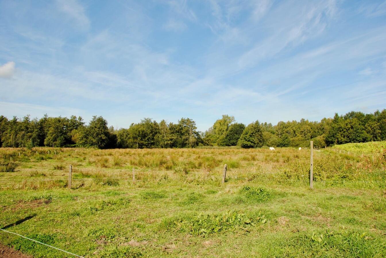 IN OPTIE: Te renoveren boerderij op ca. 4,1ha te Geel (Antwerpen) 