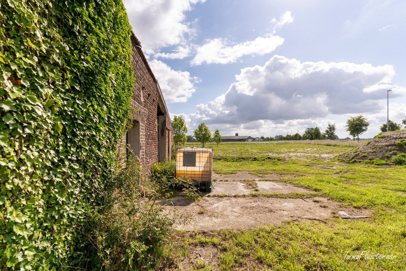 Verder te renoveren langgevelhoeve met veel potentieel op ca. 65 are te Kinrooi 