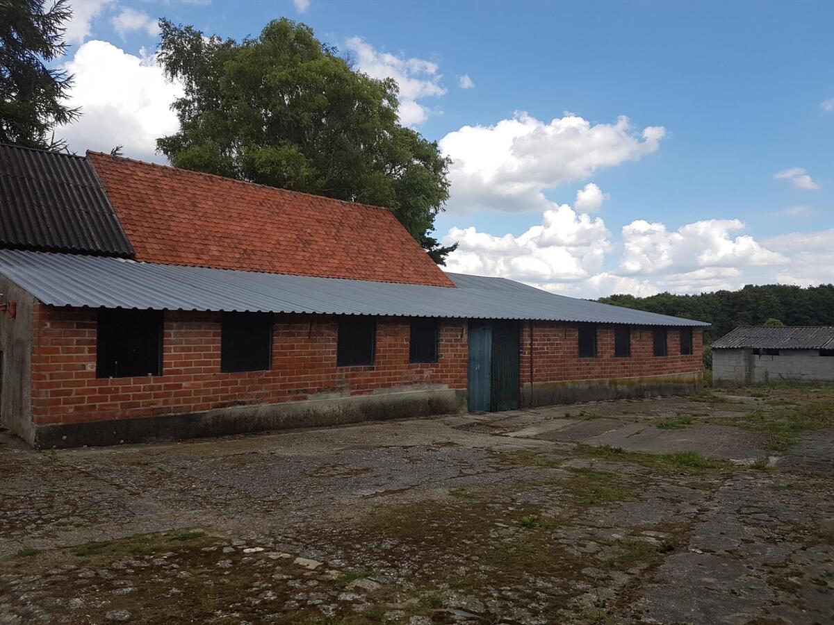 Te renoveren hoeve met stallen op een prachtige locatie (ca.4,51ha) 