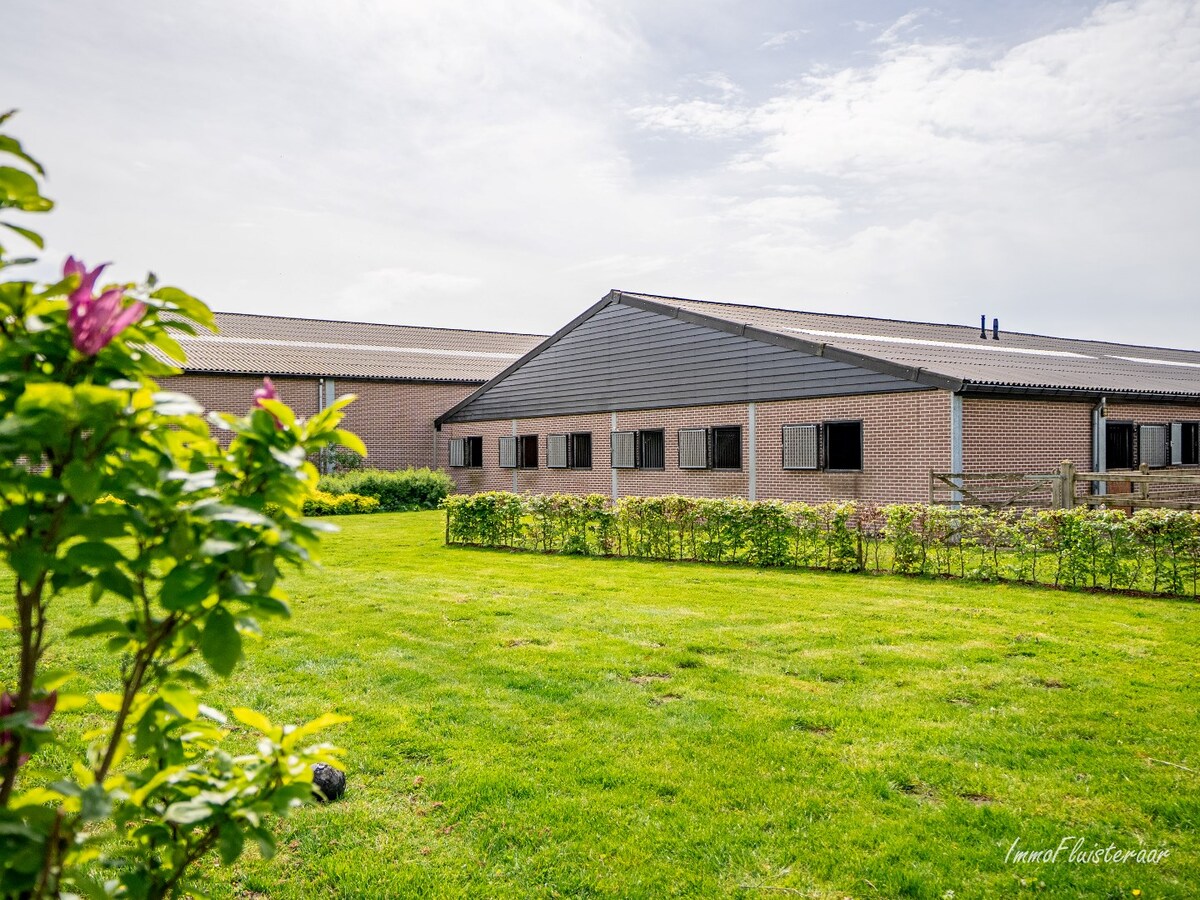 Prachtige hippische accommodatie op ca. 2,4 ha te Meerle/Hoogstraten 