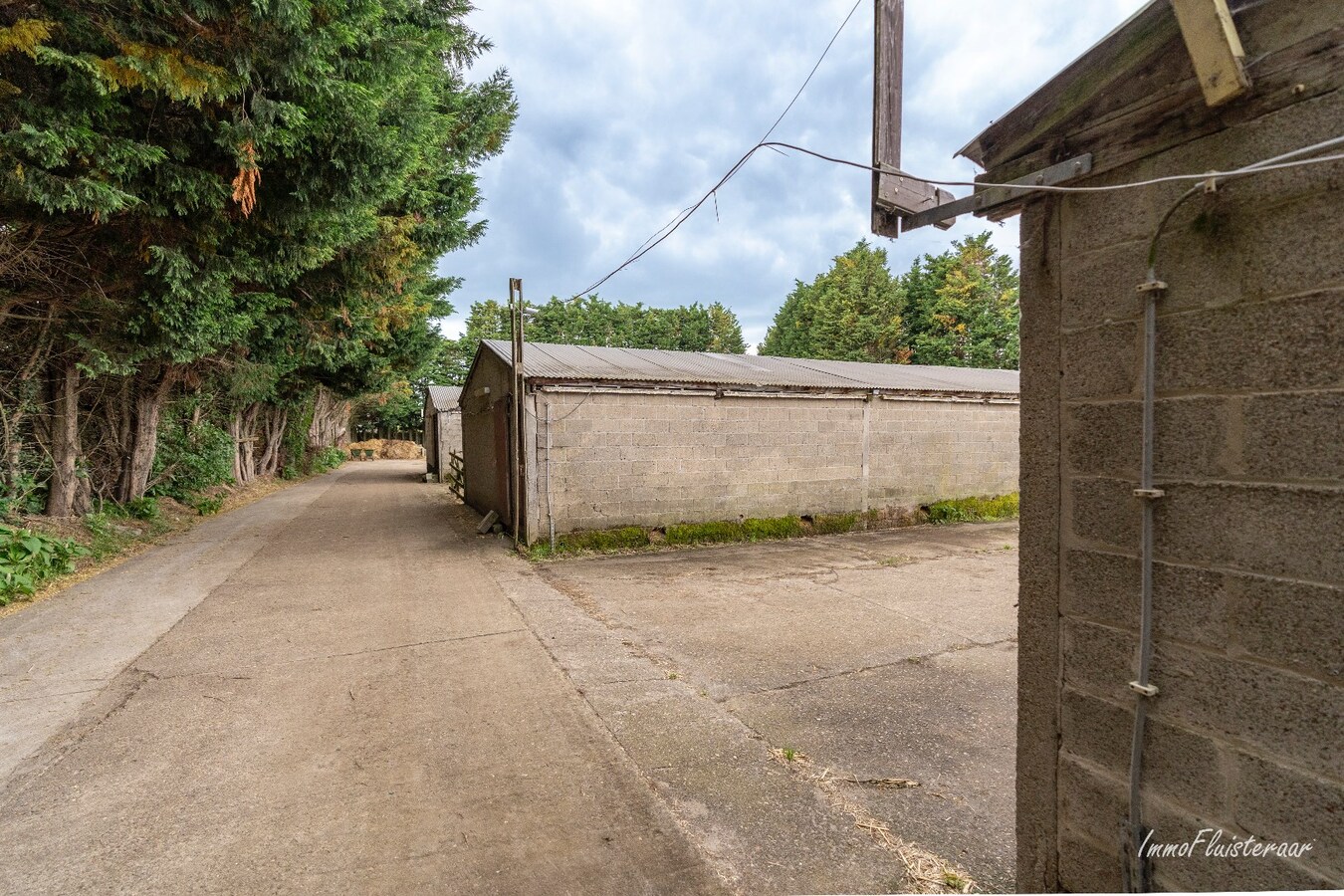 Paardenaccommodatie met 46 stallen, buitenpiste en hangaar op ca. 55 are te Linkhout (Lummen) 