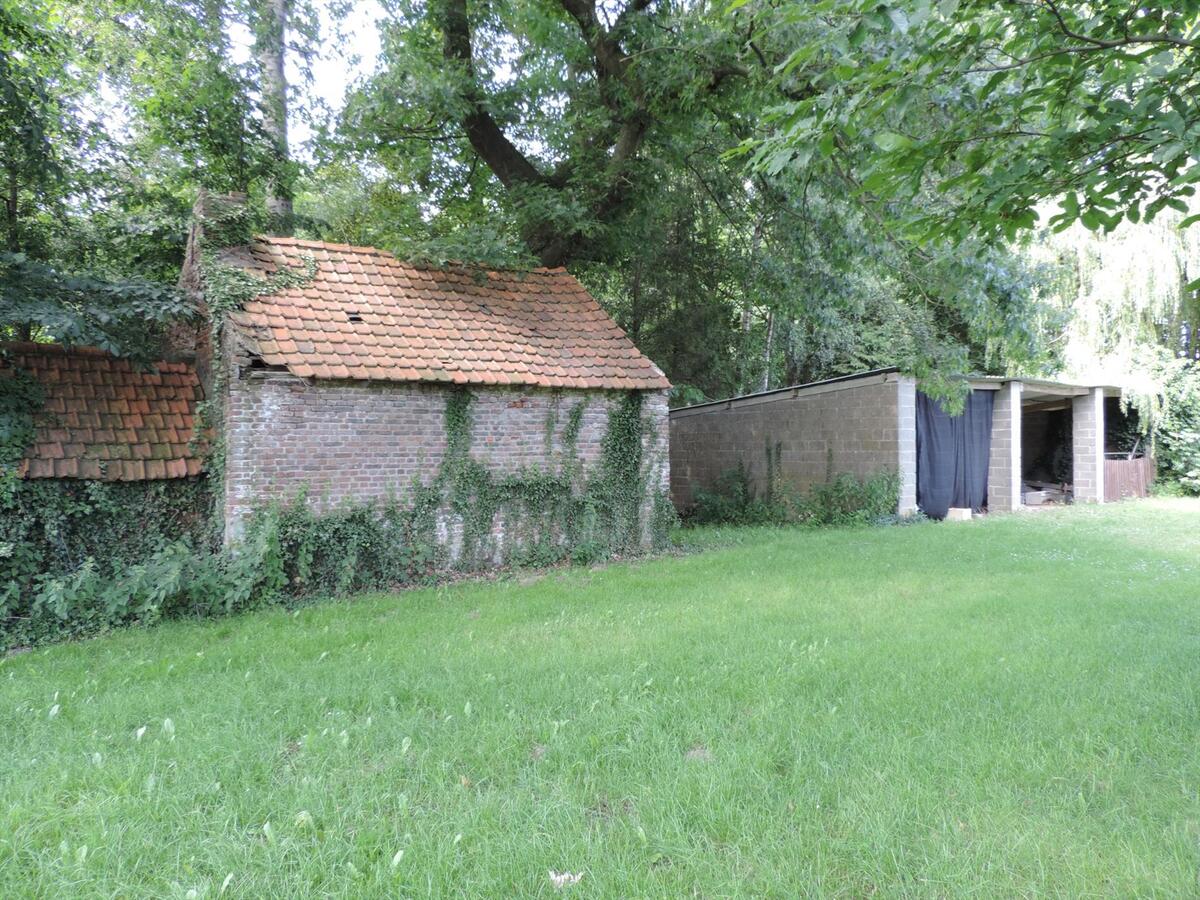 House with authentic farm in 5ha in Bree 