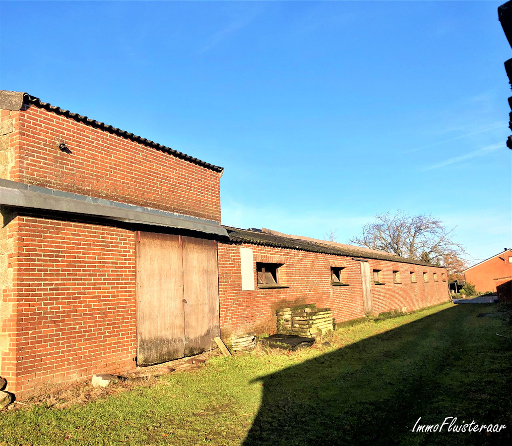 Boerderij met stalgebouwen en weilanden op ca. 1,17ha met uitbreidingsmogelijkheden van 5ha te Bree 