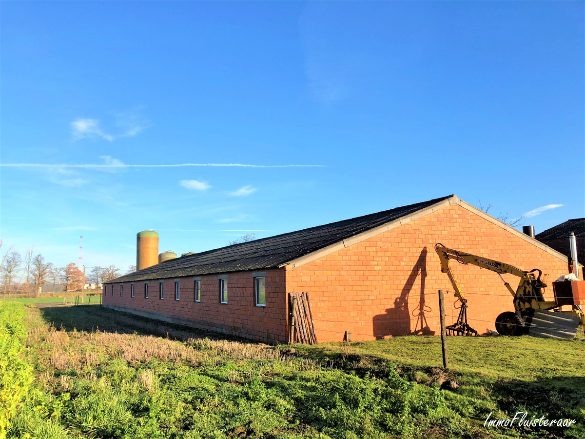 Boerderij met stalgebouwen en weilanden op ca. 1,17ha met uitbreidingsmogelijkheden van 5ha te Bree 