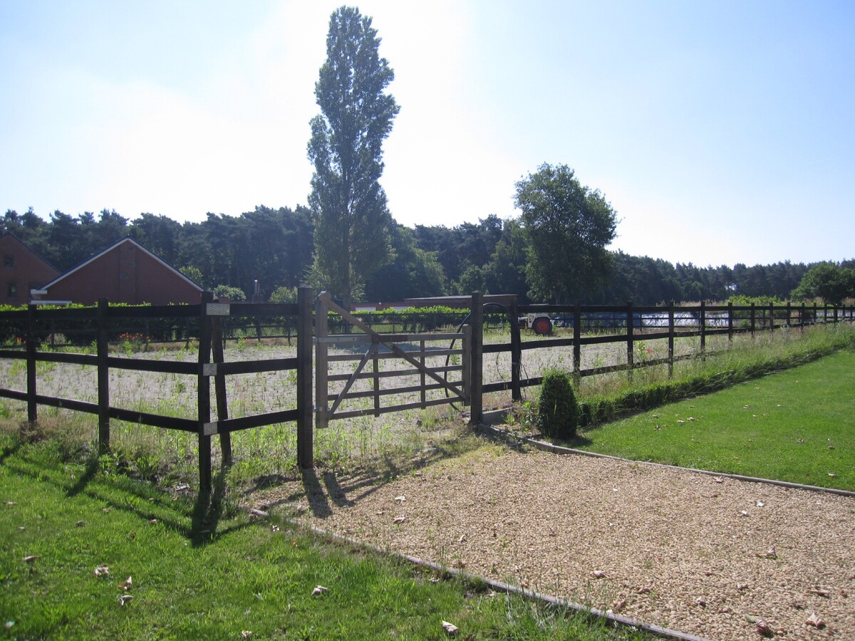 Hoeve met stallen, paddock en zwembad op 6.250m&#178; 