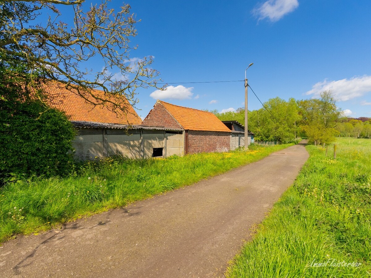 Idyllisch gelegen te renoveren hoeve te Melle op ca. 9,3ha 