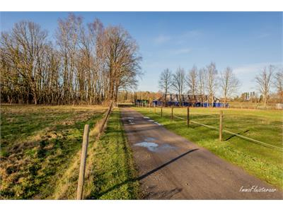 Pasture land for sale in Tielt-Winge