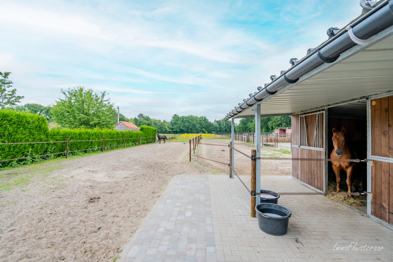 Instapklare villa met paardenstallen en weide op ca. 50 are te Leopoldsburg. 