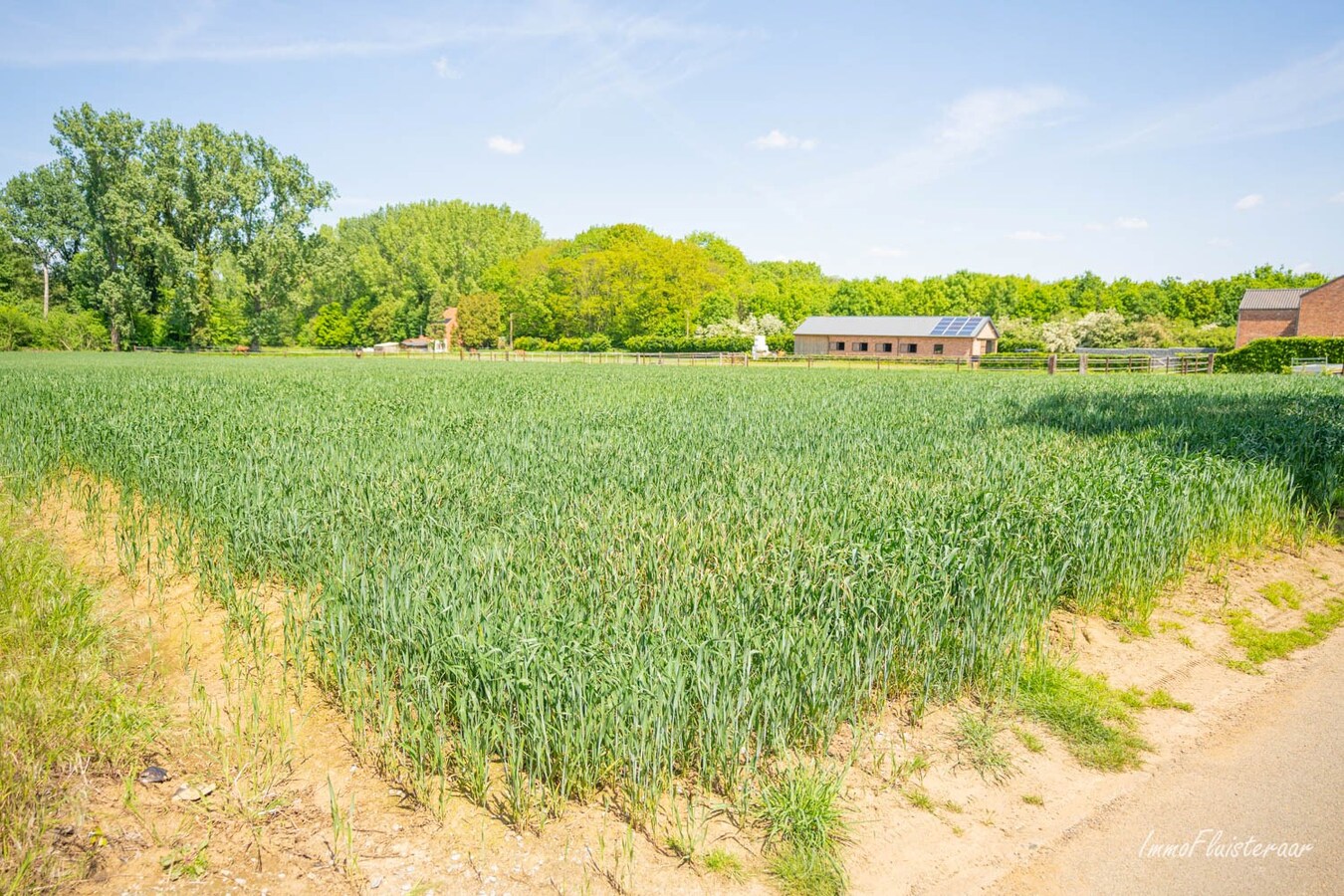 Maison calme et situ&#233;e &#224; la campagne avec d&#233;pendances sur environ 1,28 ha &#224; Bekkevoort (Brabant flamand). 